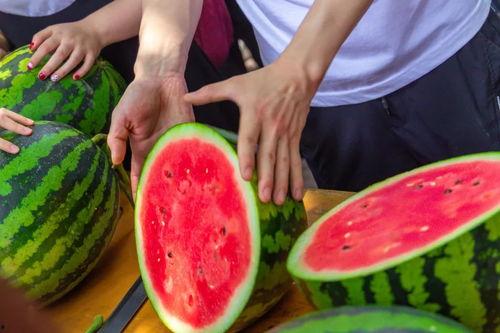 免费吃瓜泡泡,揭秘网络社交新潮流